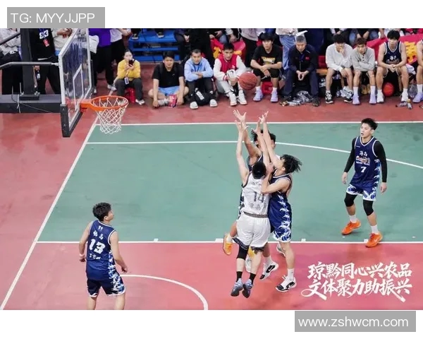 明星篮球海南热潮来袭球迷齐聚共庆篮球盛宴